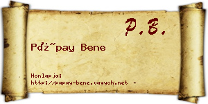 Pápay Bene névjegykártya